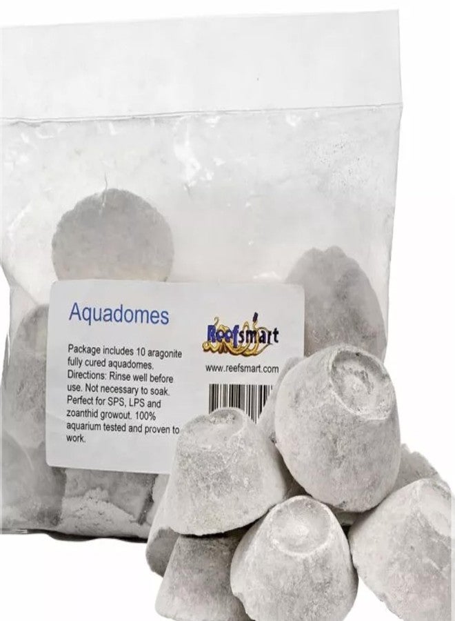 REEFSMART AQUADOMES Large Heavy Coral Frag Plugs Mounts, 10 Pack - Image 1